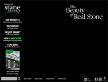 Tablet Screenshot of nsvi.com